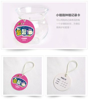 馨馨猫草头 办公室绿植新宠，免浇水设计引领创意礼品潮流