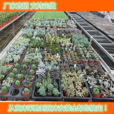 农业苗床与温室大棚苗床 如何选择与优质生产厂家的推荐指南