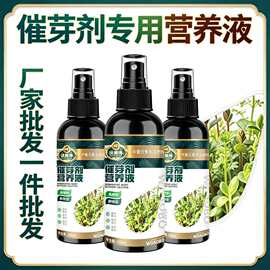 家庭花卉种子批发 养花达人的进阶之道